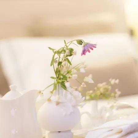 Casal Dell'angelo Hotel 4*